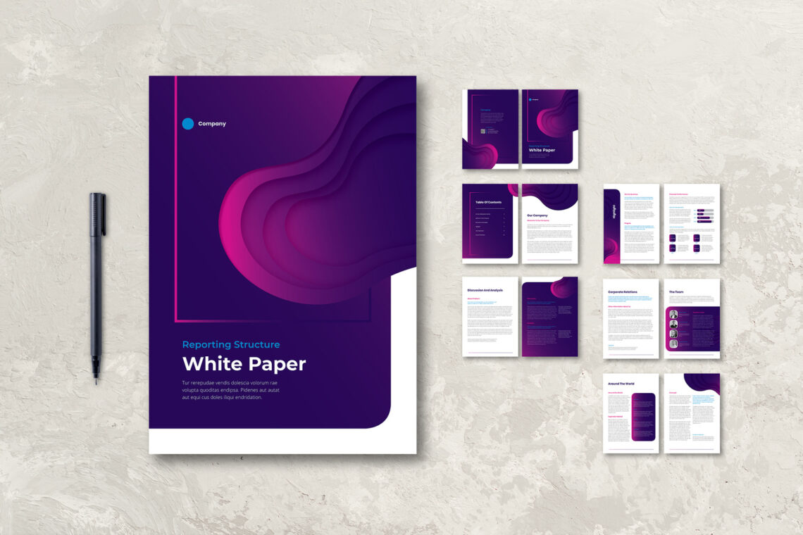 White Paper - Company Progress Report