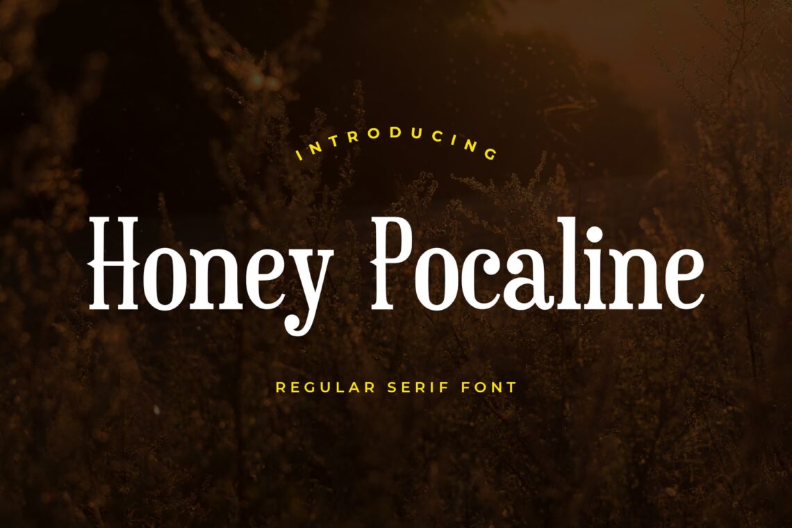 fonts honey pocaline serif