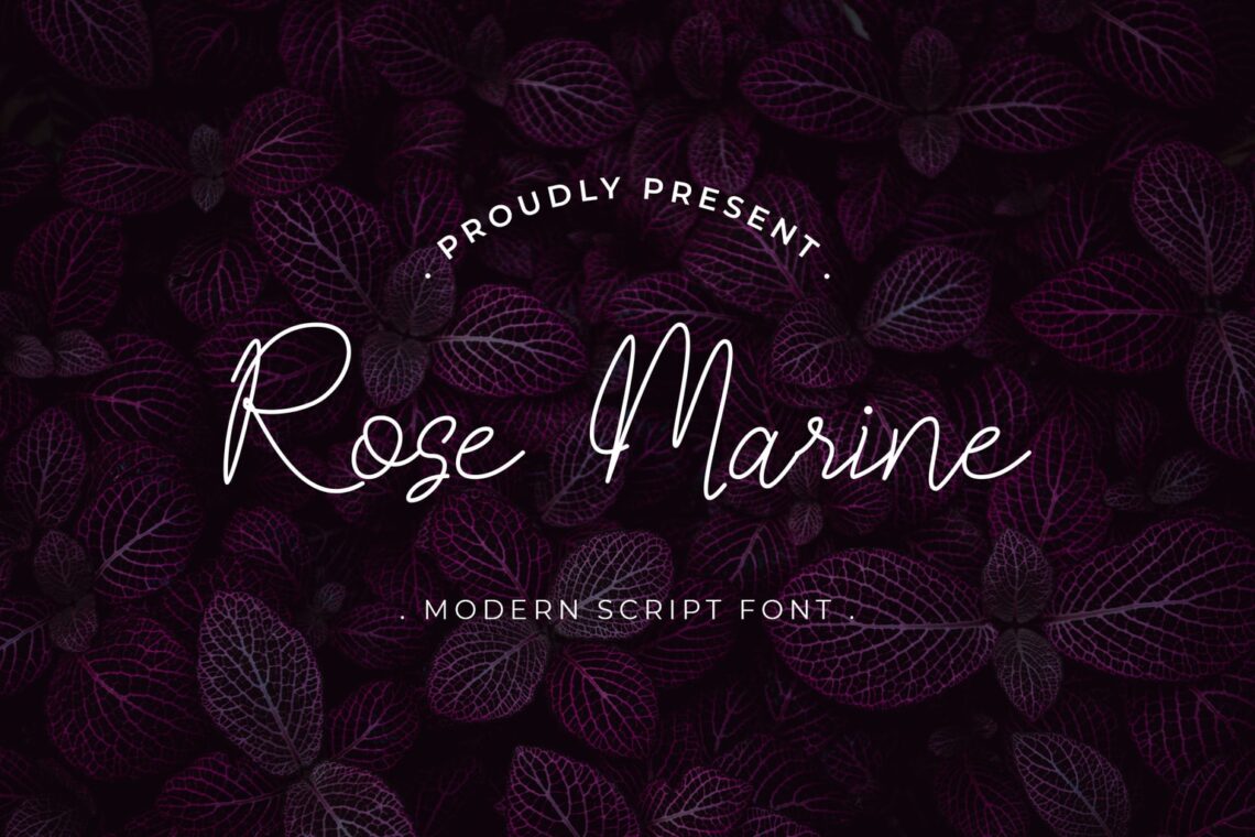 fonts rose marine modern script