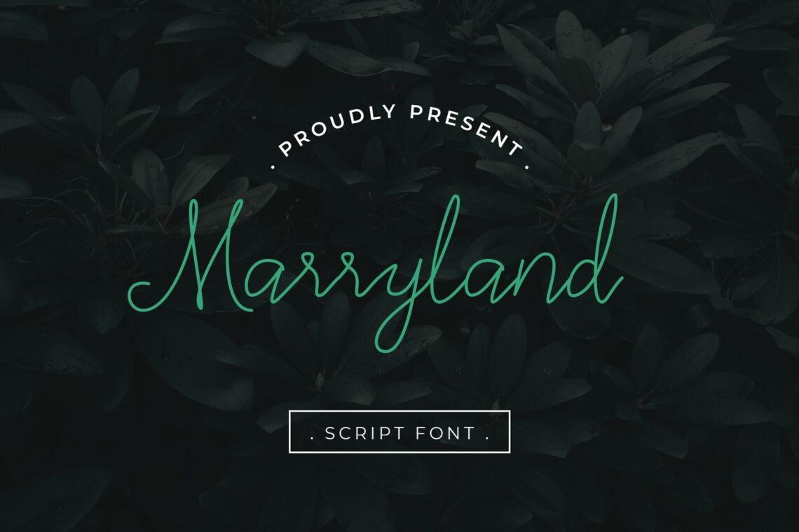 fonts marryland script 1