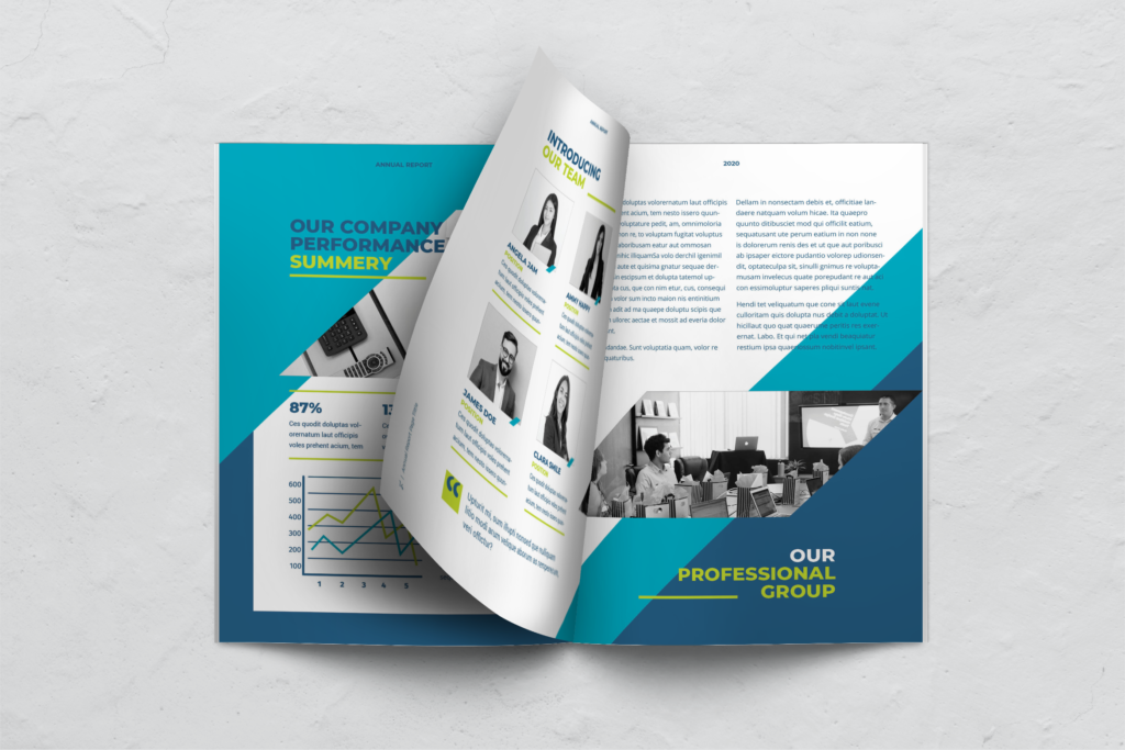 Annual Report - Company Information 2-4