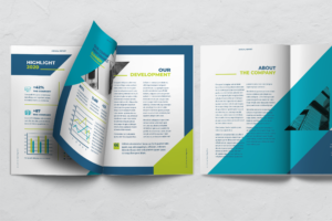 Annual Report - Company Information 2-3