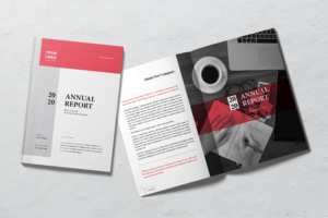 Annual Report - Companies Performance-6