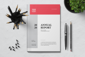 Annual Report - Companies Performance-5