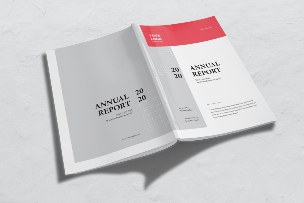 Annual Report - Companies Performance-2