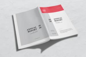 Annual Report - Companies Performance-2
