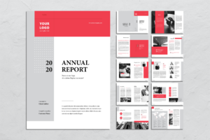 Annual Report - Companies Performance
