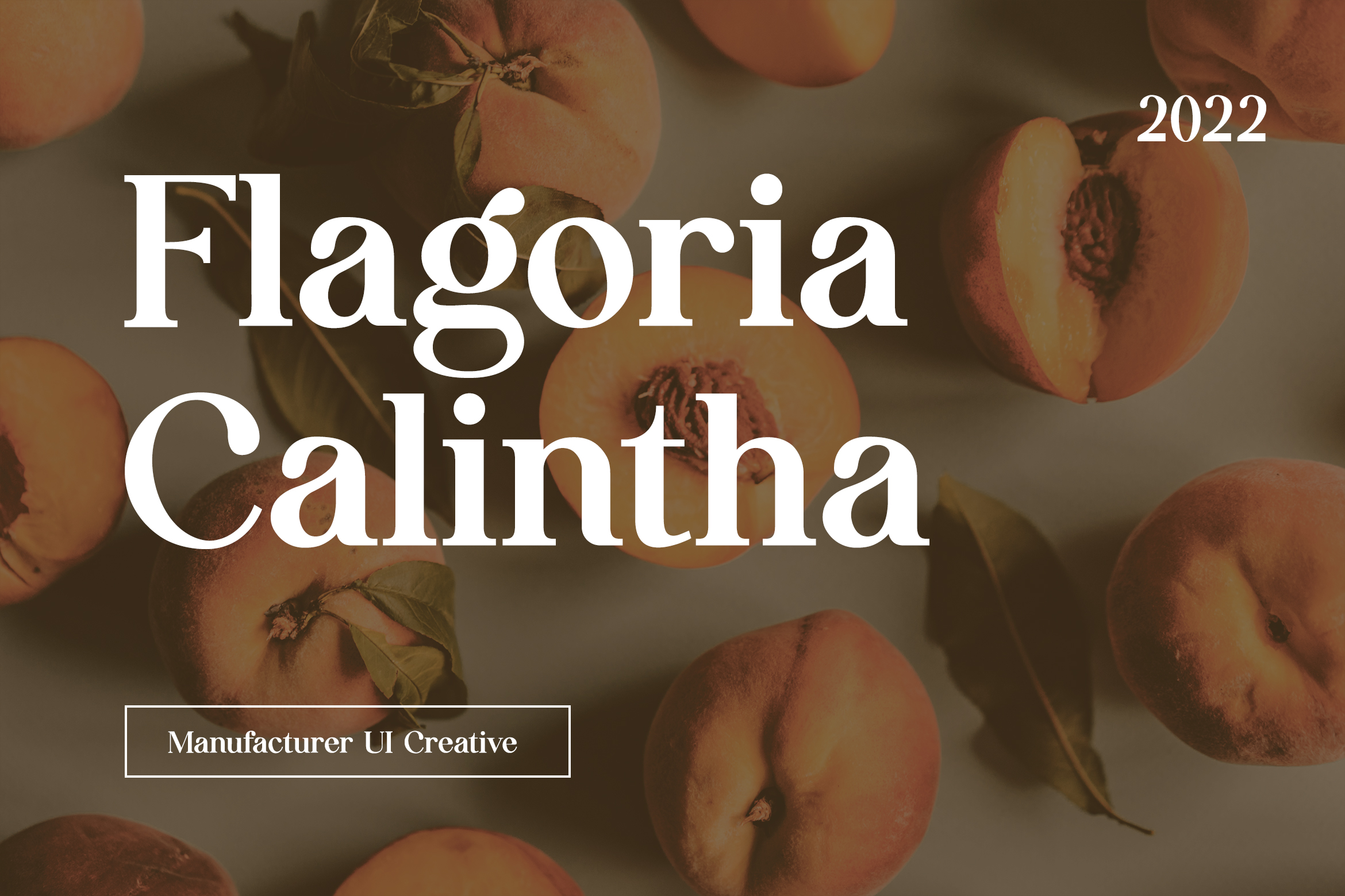 Flagoria Calintha Serif Font - serif font crossword 