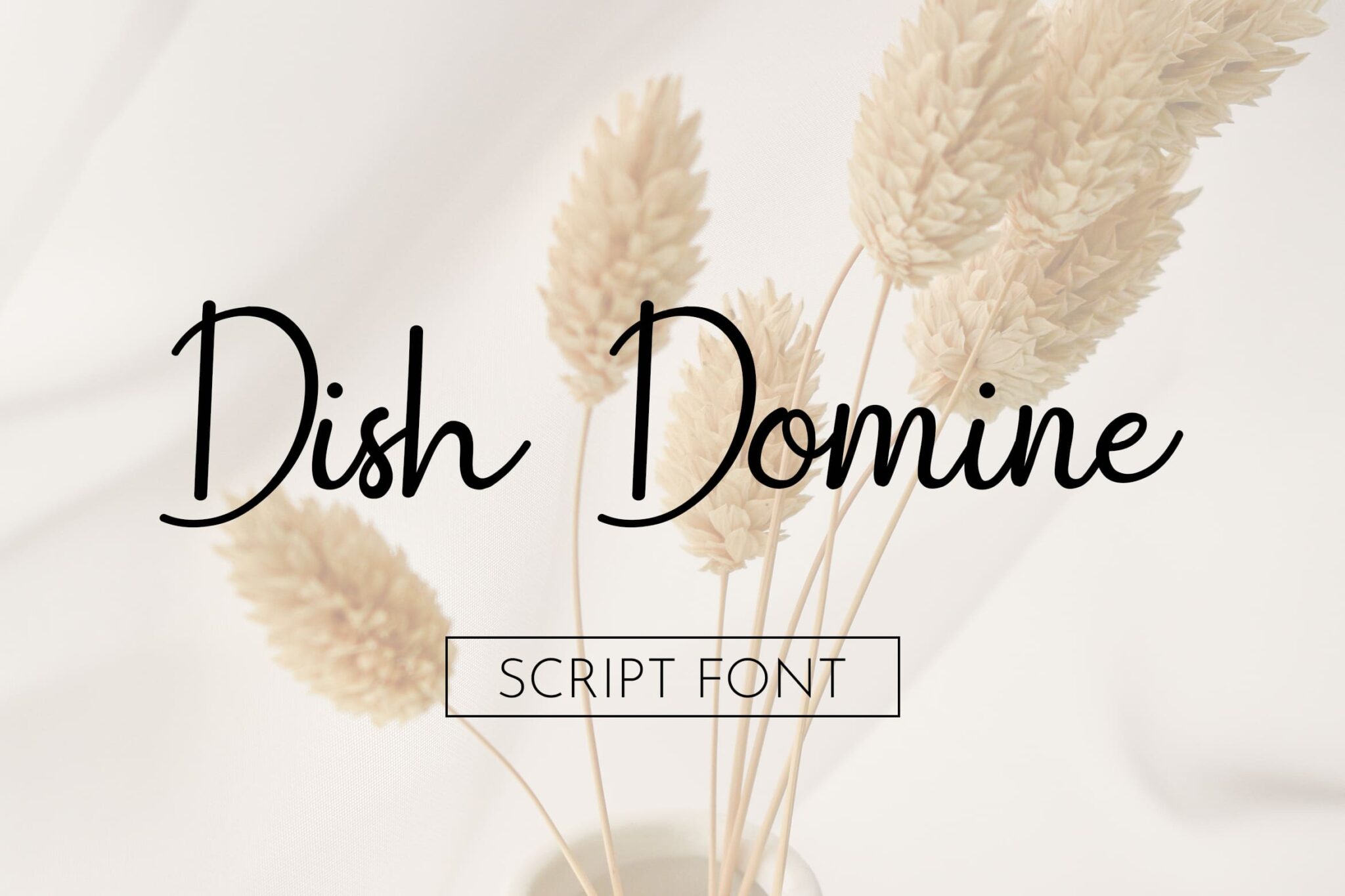 script font examples - Dish Domine Handwritten Script