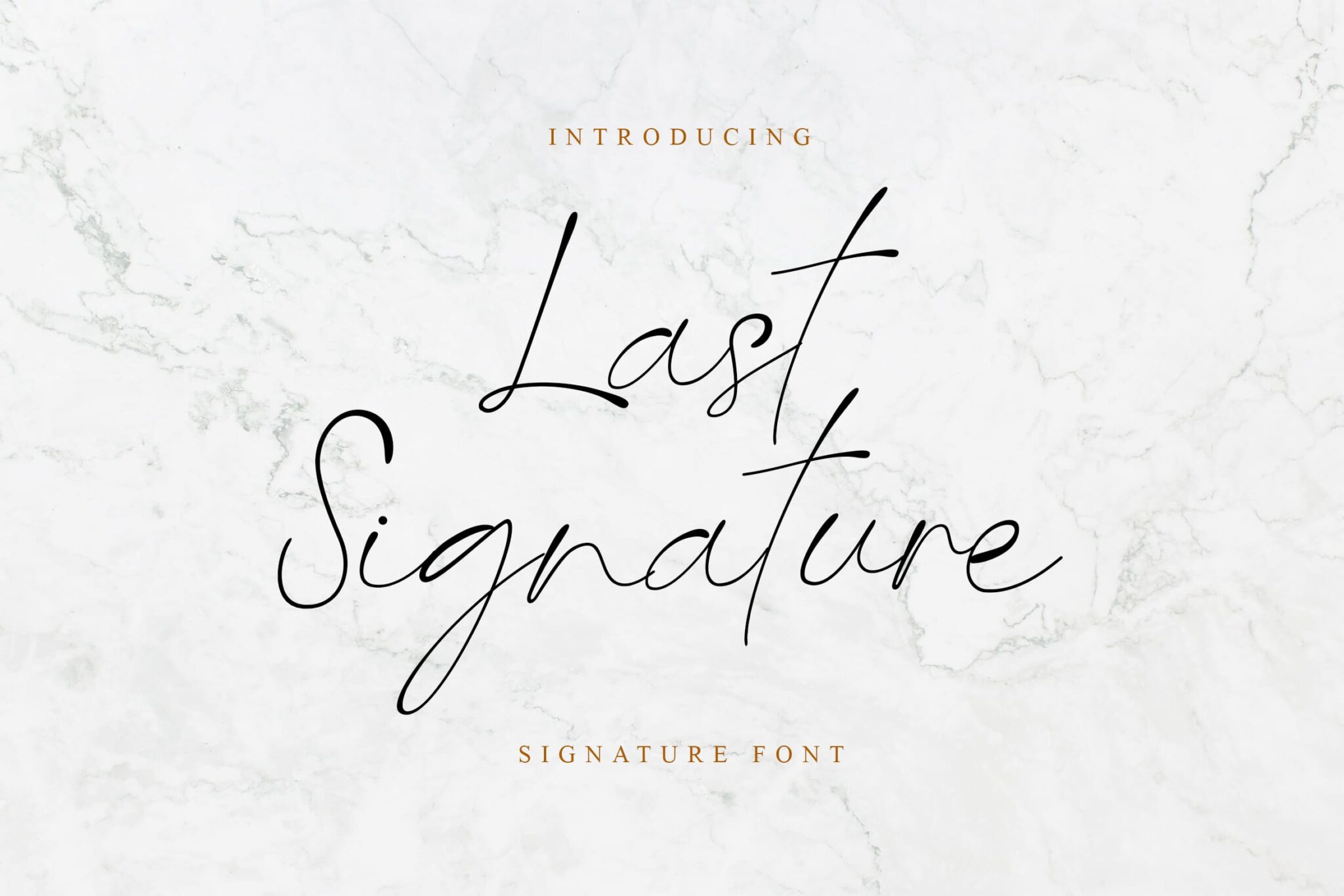 best caligraphy font - Last Signature Handwritten Font