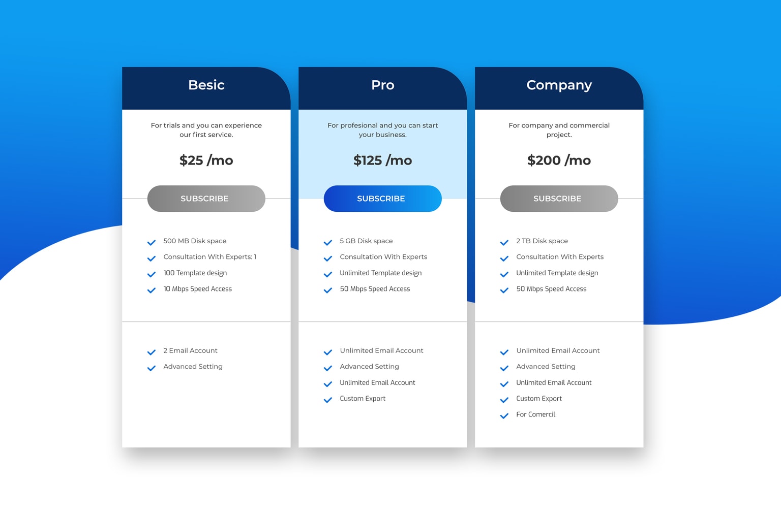 Commercial Website Service Pricing Table