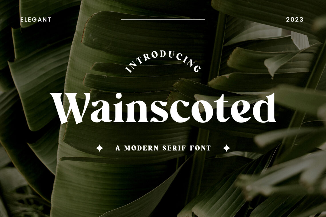 Wainscoted Modern Serif Font