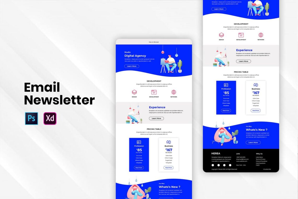Digital Agency – Email Newsletter - 2