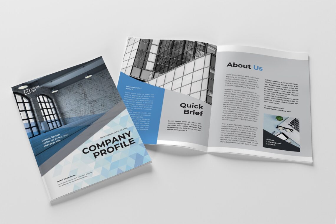 Company Profile – Professional Companies
