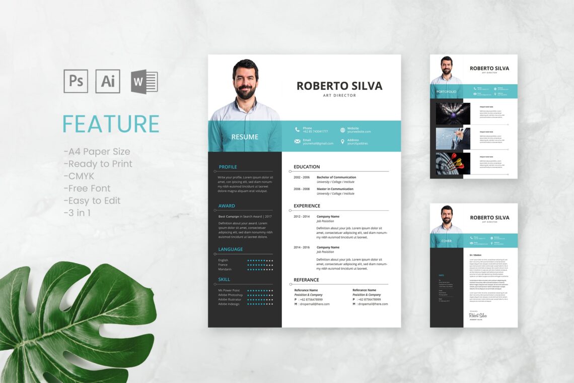 CV Resume – Art Director Profile